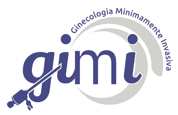 GIMI